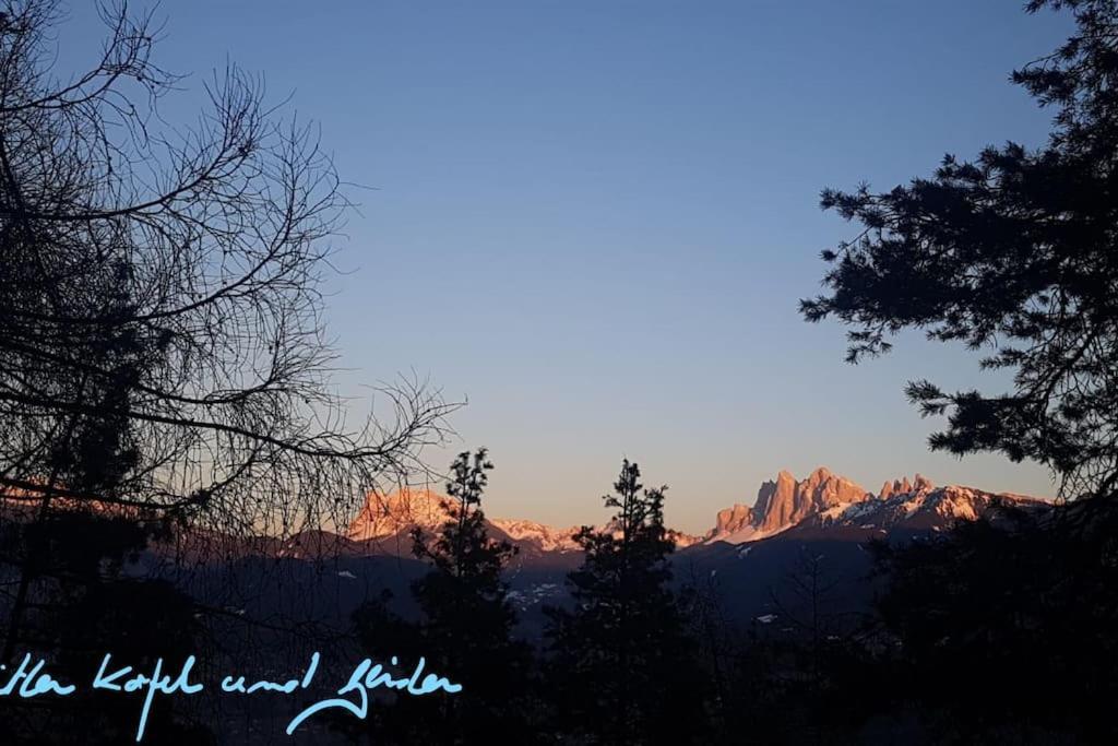 Dolomiten View - South Tyrol ヴィッランドロ エクステリア 写真